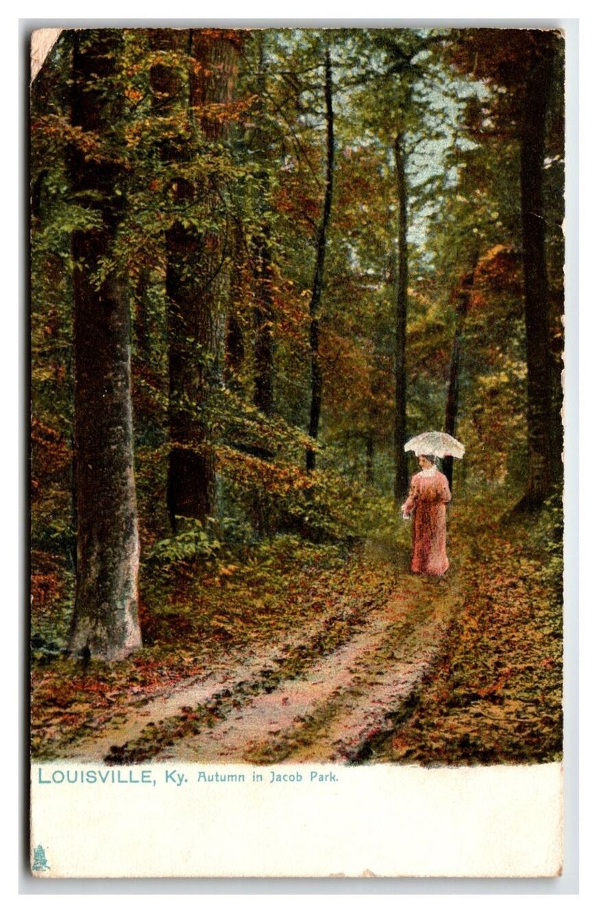 1912 Louisville KY Jacob Park Autumn Woman Parasol Raphael Tuck Postcard